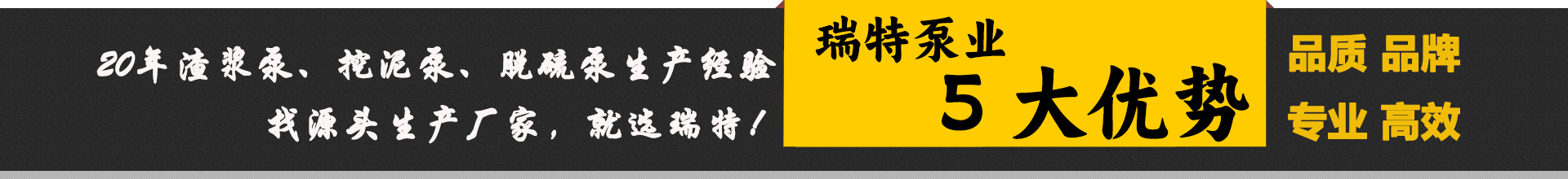 瑞特泵業(yè)核心優(yōu)勢(shì)